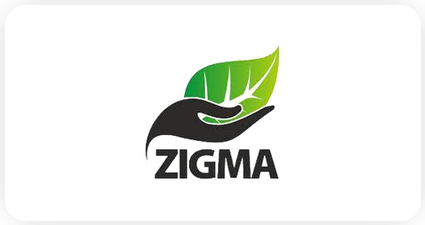 zigma logo(2)